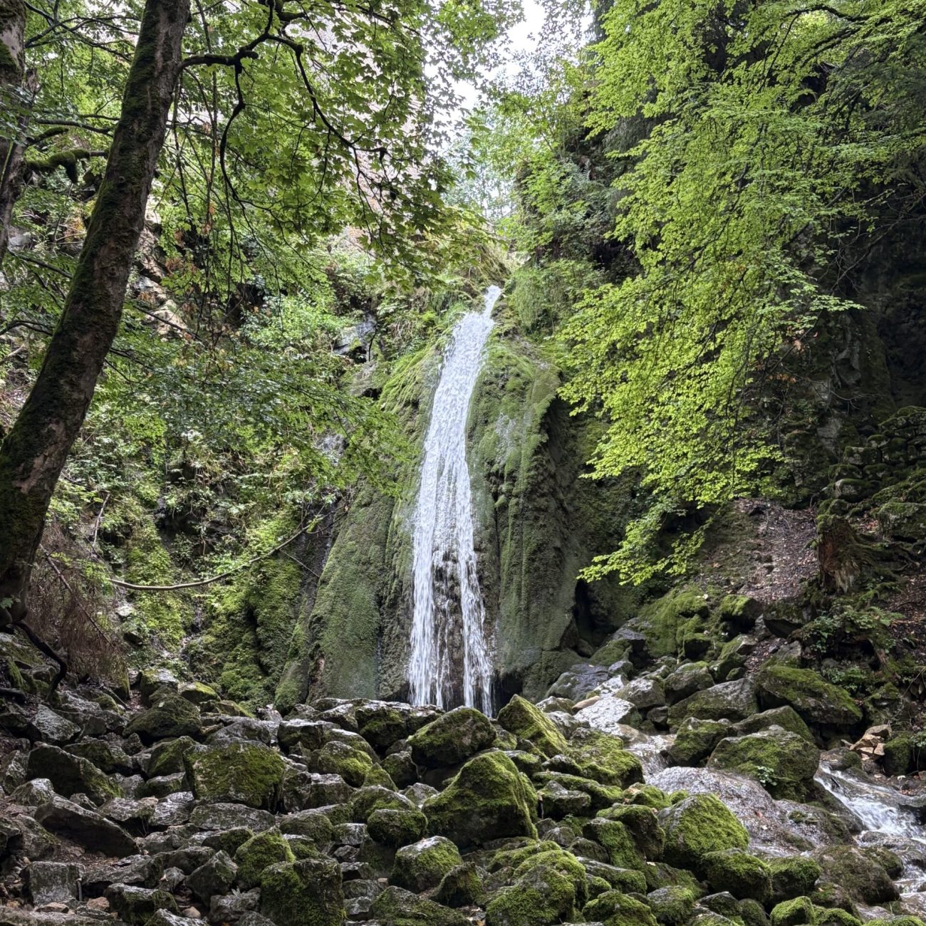 Waterfall cascading down moss-covered rocks in a lush green forest.